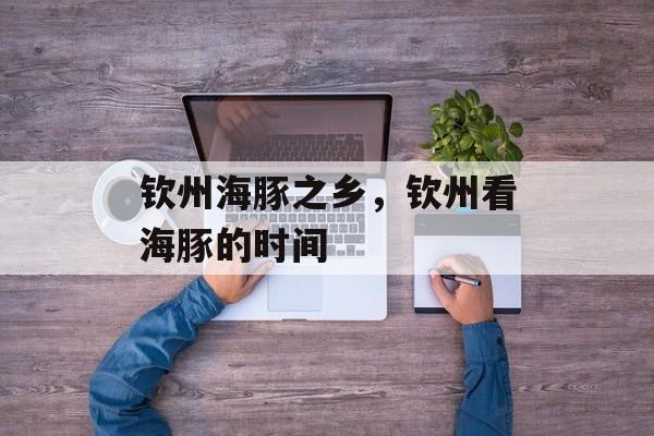 钦州海豚之乡，钦州看海豚的时间-第1张图片-