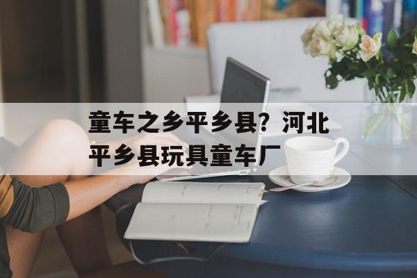 童车之乡平乡县？河北平乡县玩具童车厂-第1张图片-
