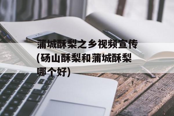 蒲城酥梨之乡视频宣传(砀山酥梨和蒲城酥梨哪个好)-第1张图片-