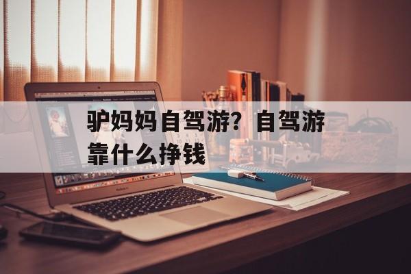 驴妈妈自驾游？自驾游靠什么挣钱-第1张图片-