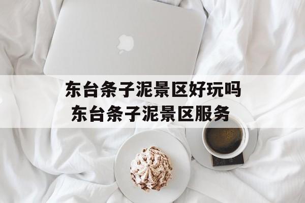 东台条子泥景区好玩吗 东台条子泥景区服务-第1张图片-