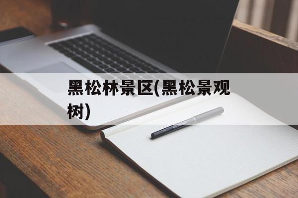 黑松林景区(黑松景观树)-第1张图片-