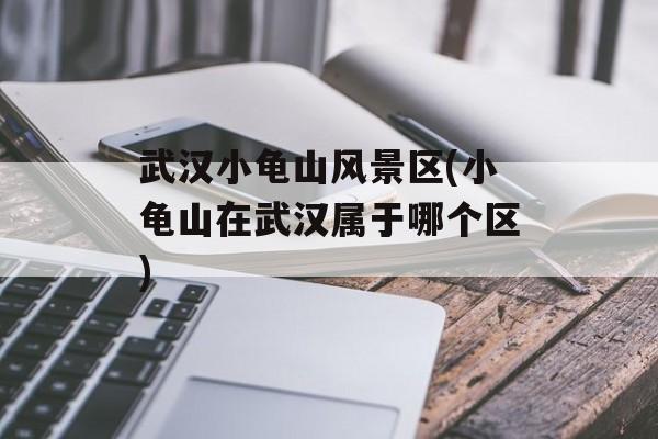 武汉小龟山风景区(小龟山在武汉属于哪个区)-第1张图片-
