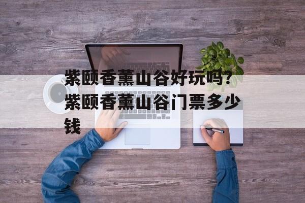 紫颐香薰山谷好玩吗？紫颐香薰山谷门票多少钱-第1张图片-